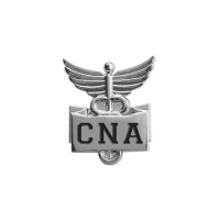 Professional Lapel Pin-"CNA" - 94505